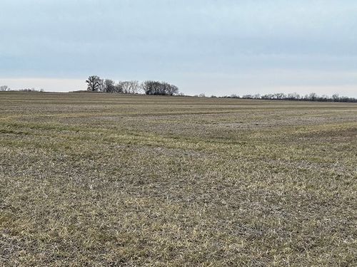 Barton County Mo Land Auction Jones And Alber Sullivan Auctioneers Sullivan Auctioneers 0678