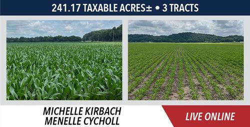 kirbach-cycholl-11-10-2025