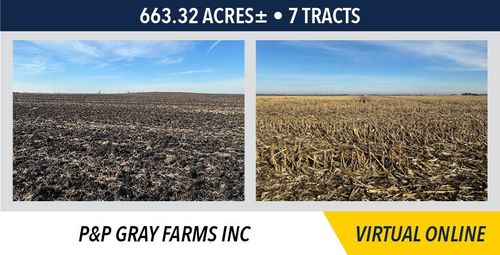 p-p-gray-farms-inc-2-28-2025