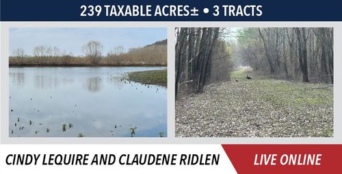 lequire-ridlen-7-31-2025