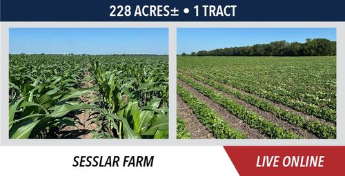 sesslar-farm-11-17-2025